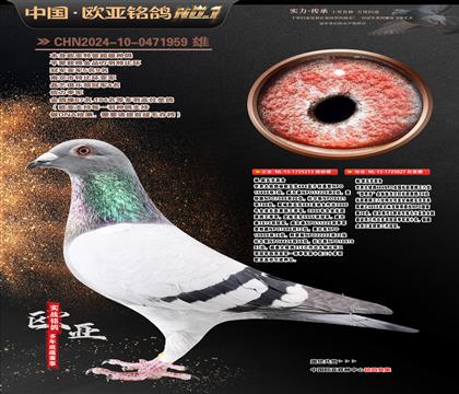 ��.�W�߿�ԭ��484ֱ��213X�������ߡ�027