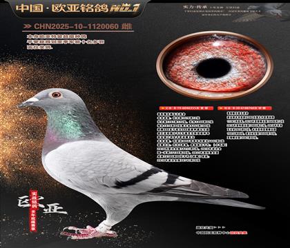 ��˹�D������ԭ��355X760