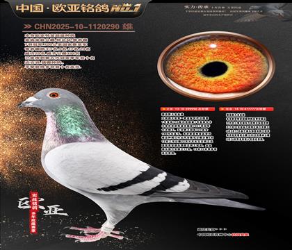 ·��˹����Ѫ�y(t��ng)996X777ͬ����ĸ���H