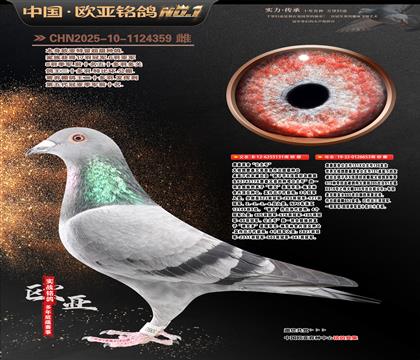 ղɭԭ�ᡰ����̖��131XֱŮ653