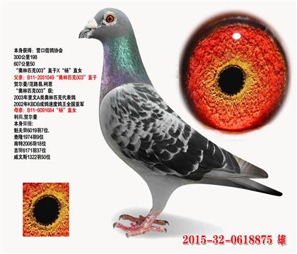 600����50  ���W��ƥ��003��ֱ��X���ֱŮ