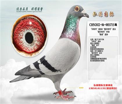 ���W�̖(h��o)��ֱ�OX�����W�̖(h��o)��ֱŮ