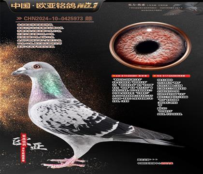 �W��ƥ��03ֱ�OX�WԪֱŮ801X���W003