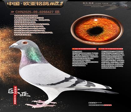 ɣ��ʿ���H��������X�ر�15��ƽ��