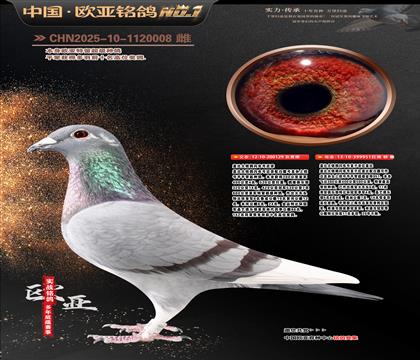 �t�w��129X951�p�ؽ��H��������