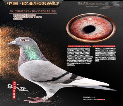 ɣ��ʿ�ǹ�̖464X��X489��ĸ