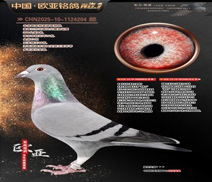 ��XXɣ��ʿֱ��989Xɣ��ʿ682��ĸ29��