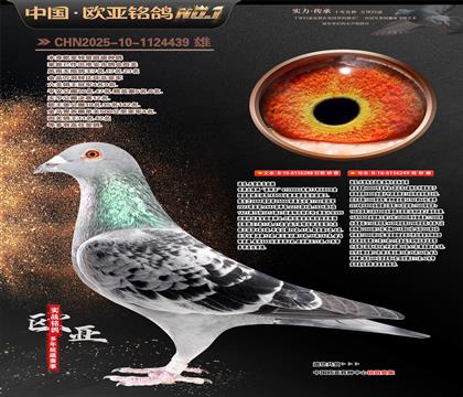 �Ͽ˷��ǲ���288X�S����W40000̖