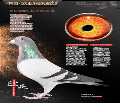 �w��ԭ�ᳬ���_�ܚWֱ��727X�C��̖127