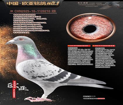 ���Wԭ���������851X�������ֱ�O818���H