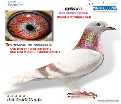 2025-06-0592883��