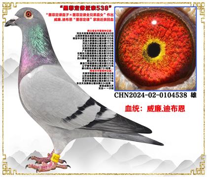 �����c���]������.�ϲ�����ī�ƶ���ֱ�ӡ�ī�ƶ���ȫ�ֵ�ֱŮ��