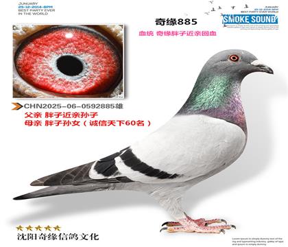 CHN2025-06-0592885��