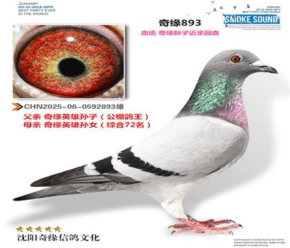 CHN2025-06-0592893��