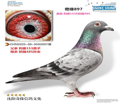 CHN2025-06-0592897��