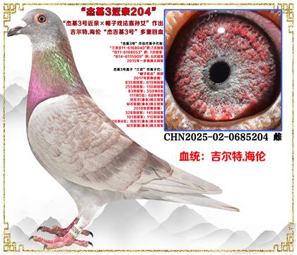 ������.�������ܻ�3̖���H��ñ�ӑ�ֱ�OŮ��