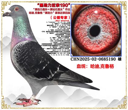 ����.�����񡰺ڄ���ֱ�O�����@ʯֱŮ���ڄ������H