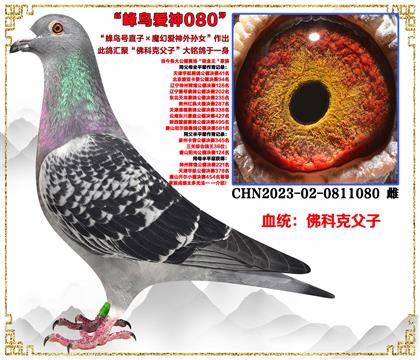 ��ƿ˸��ӡ����Bֱ̖�ӡ�ħ�Ð�����OŮ��