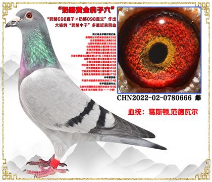 ��˹�D������698ֱ�ӡ�����098ֱŮ������С�ӽ��H��Ѫ