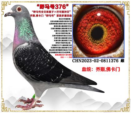 ��˹.���T��Ұ�R̖ȫ�ֵ�ֱ�ӡ��Ϳ�ֱ�OŮ������