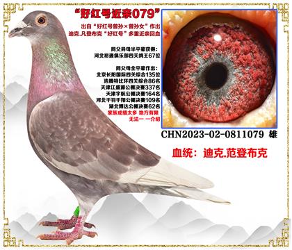 �Ͽ�.���ǲ��ˡ��üt̖���O�����OŮ�����H��Ѫ