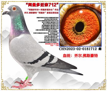 �̠�.��˹���ء���������O��������ֱ�OŮ�����H��Ѫ