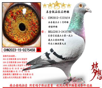 ɣ��ʿ����피�(j��)1̖(h��o)�N��