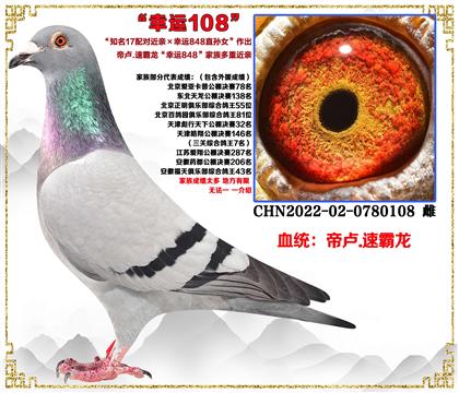 �۱R.�ٰ�����֪��17�䌦���HX���\848ֱ�OŮ�����H��Ѫ