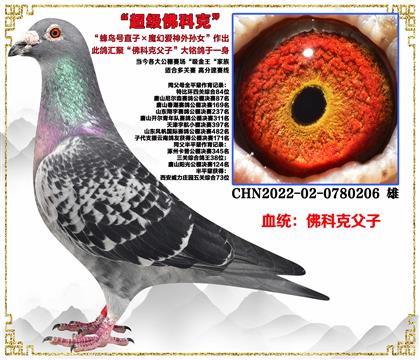 ��ƿˡ����Bֱ̖�ӡ�ħ�Ð�����OŮ������