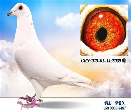 �������039   ��	