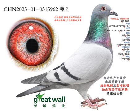 6.���������������.0315962