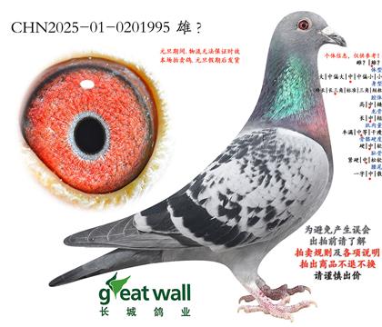 7.��������28�Ӵ�.0201995