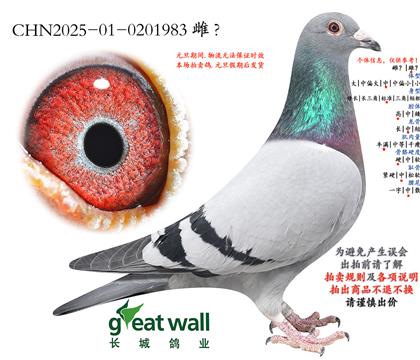 11.�¿�����x����.0201983