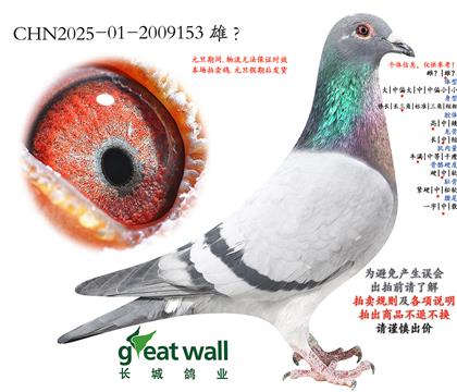 15.��������Ǿ���ƽ��.2009153