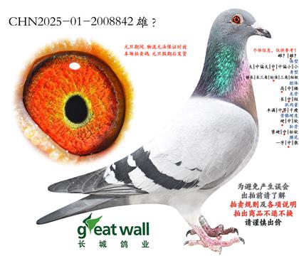 19.ղ��˹801���.2008842