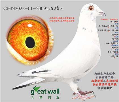 20.���������������.2009176