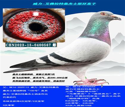 ���Կ��̈́� ������⣩ ɣ��ʿС��X��ֱ̖ϵ