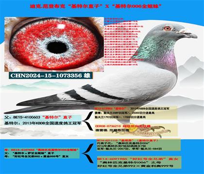 �Ͽ� ���ǲ��ˡ����ؠ���ֱ��X�����ؠ�006��ȫ����