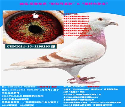 ���ǲ��ˡ��ütֱ̖�O��X�����ؠ��OŮ��