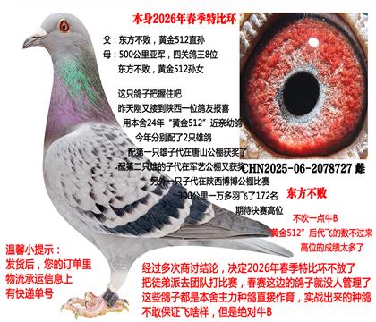 2026�괺���رȭh(hu��n)�����������c(di��n)��һ���������S��512���H��