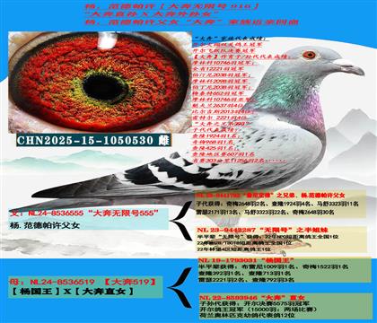 �����c(di��n)���] ����ң�������S����ֱ�O��X������OŮ��