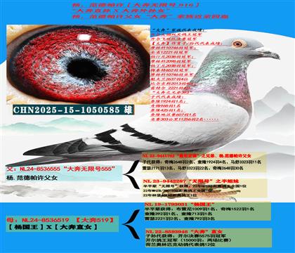 �����c(di��n)���] ����ң�������S����ֱ�O��X������OŮ