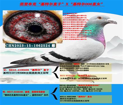 �����c(di��n)���]���Ͽ˷��ǲ��ˡ����ؠ���ֱ��X�����ؠ�006��ֱŮ