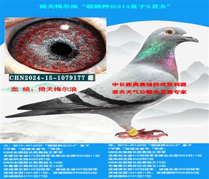 ���L���x����������÷���ˡ������N��214ֱ��XֱŮ��