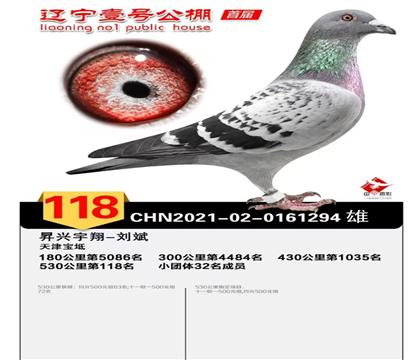 �|��Ҽ̖����Qِ118��