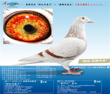 ���ǲ��ˡ��üt̖(h��o)ֱ�ӡ��������ؠ�ֱŮ��