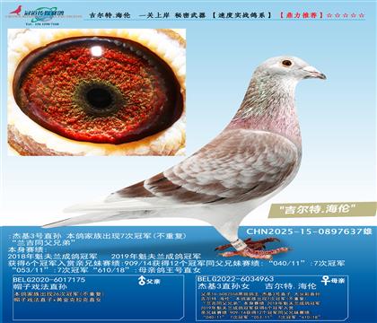 ������.����  һ�P(gu��n)�ϰ� ��������