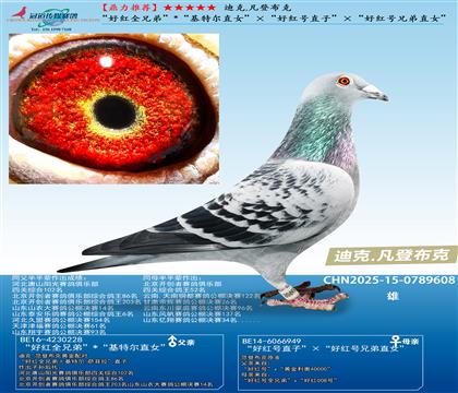 ���ütȫ�ֵܡ�/�����ؠ�ֱŮ�������üt̖(h��o)ֱ�ӡ�/���üt̖(h��o)�ֵ�