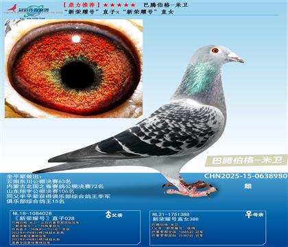 ���sҫ̖(h��o)��ֱ��x���sҫ̖(h��o)��ֱŮ