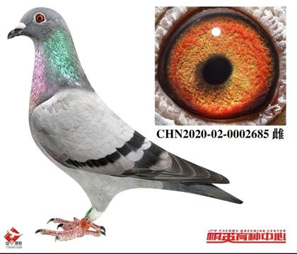 �W(li��n)������С�ӽ��H��Ѫ������Qِ10����ƽ݅